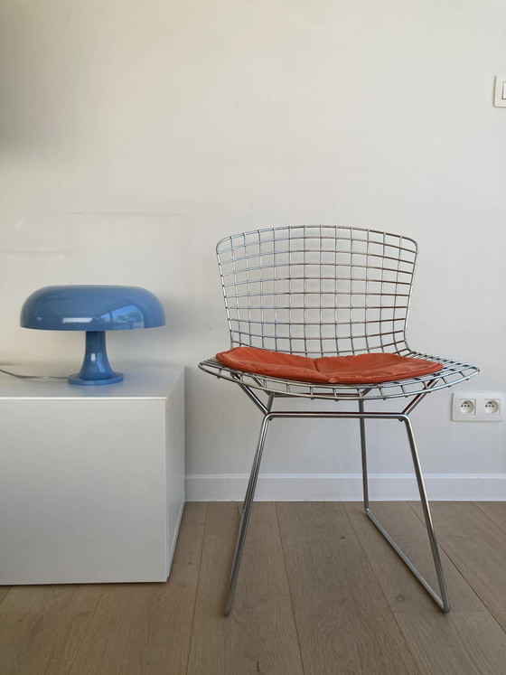 Image 1 of Bertoia chair (knoll)