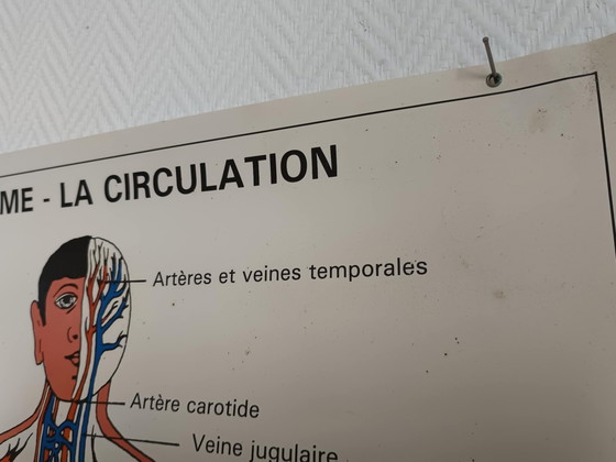 Image 1 of Schoolposter Mens en verkeer 1995