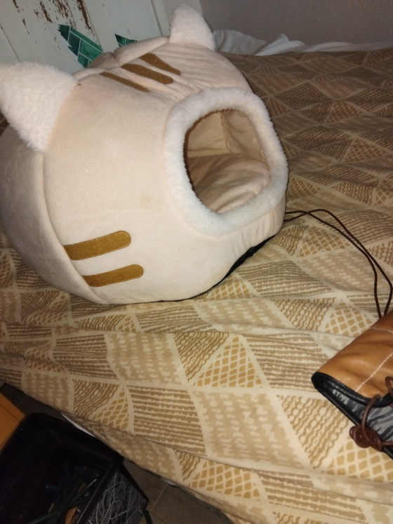 Bonito iglú para gatos – Regalos, Cotton (photo 5 of 5)