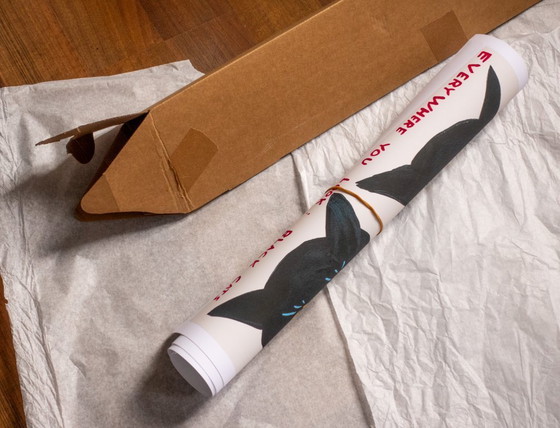 Image 1 of Schwarze Katzen überall – David Shrigley – Poster 50 × 70 cm