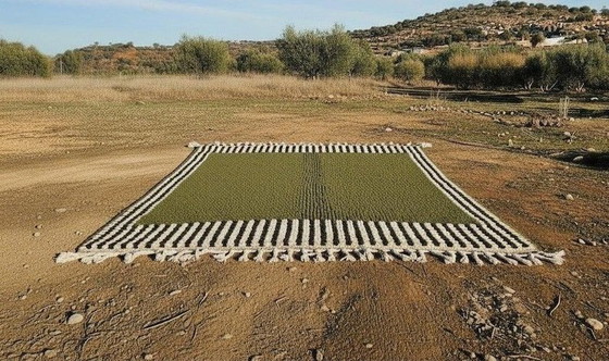 Image 1 of Handgeweven vloerkleed van zuivere wol, traditionele stijl, afmeting 2,5/3,5 m