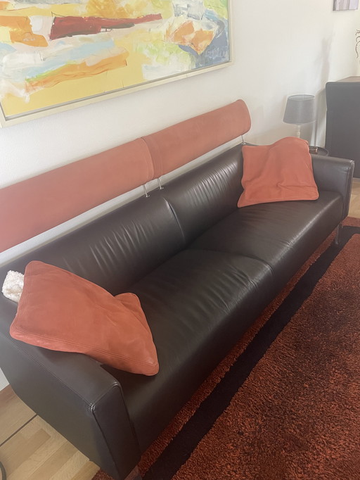 2 magnifiques canapés Leolux avec tapis assorti