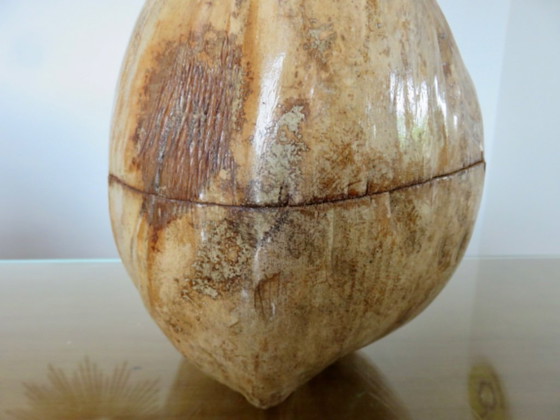 Image 1 of Large ice bucket, ice cube tray, 1970s. Vintage coconut ice bucket