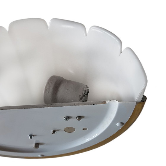 Image 1 of Model 3316 Shell-Shaped Sconce from Glashütte Limburg, 1970s