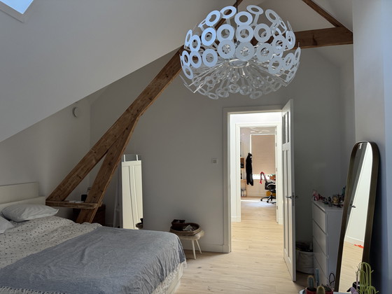 Image 1 of Lámpara colgante de diseño diente de león Moooi diente de león