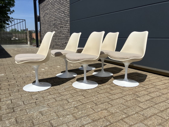 Image 1 of Tavolo ovale Knoll Tulip originale e 6 sedie Knoll Tulip in ottime condizioni!