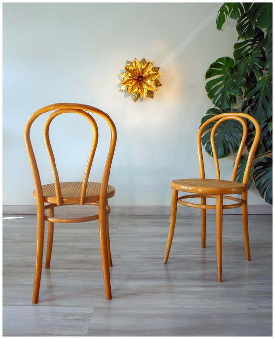 Image 1 of Coppia di sedie da bistrot anni '70 in legno curvato e vimini.