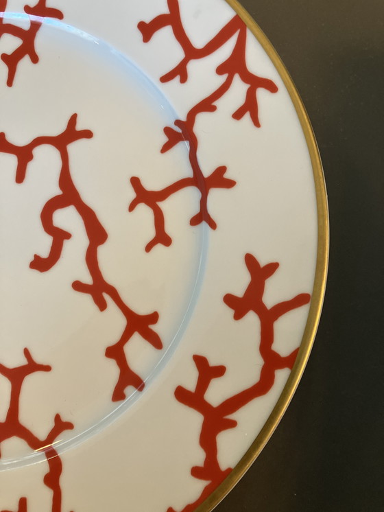 Image 1 of Raynaud's Plate, Pinto