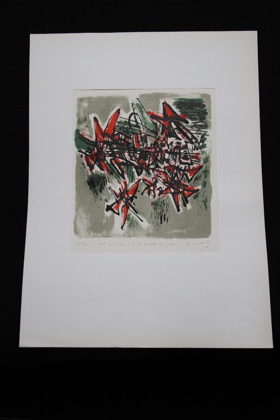 Image 1 of Corneille, Album "Vol d'Oiseaux"