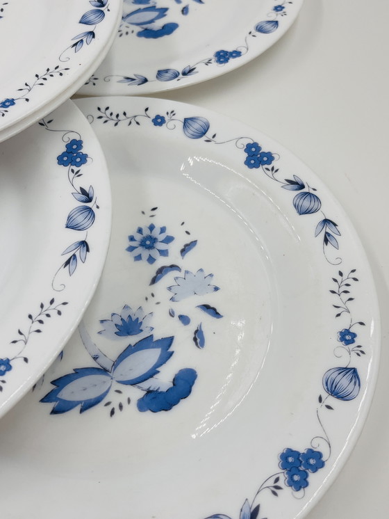 Image 1 of Lot de 8 assiettes model:Aster