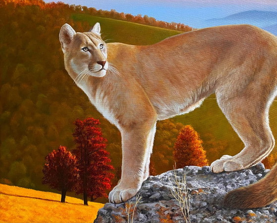 Original Oil Painting Portrait Animal Mountain Landscape Puma In The Wild – Paintings & Drawings, Canvas (photo 4 of 7)