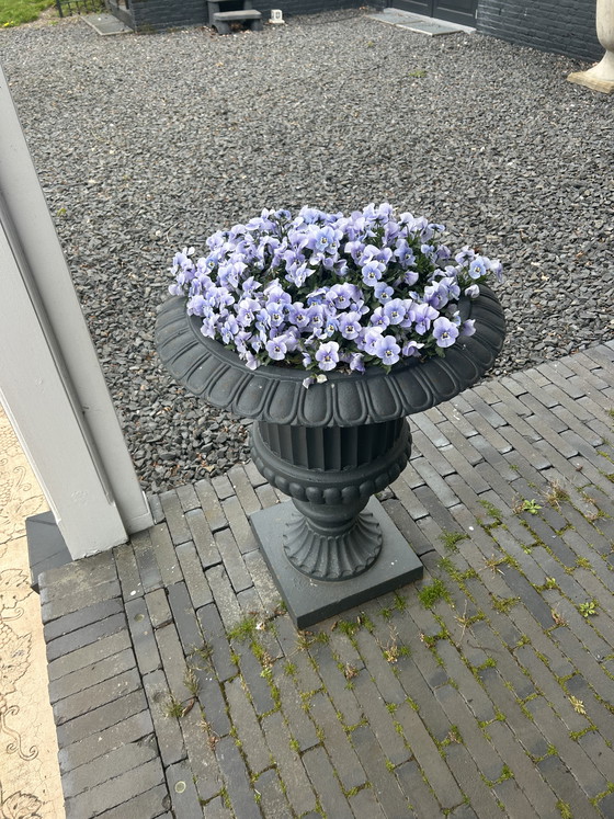 Image 1 of vasi da fiori in ghisa