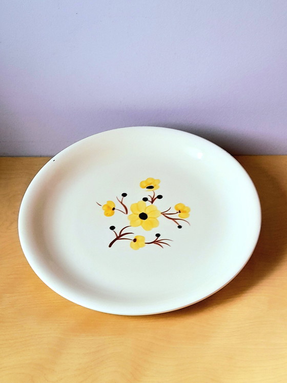 Image 1 of Earthenware dish from Salins, Catherine pattern, 30 cm.