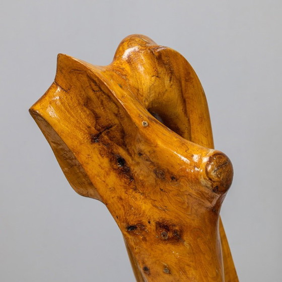 Image 1 of Abstract Organic Wood Sculpture by H. Hinfelaar, Netherlands, 1980s