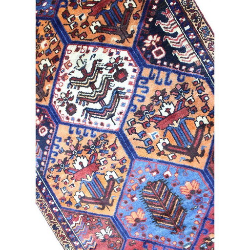 Bakhtiar carpet 290x100
