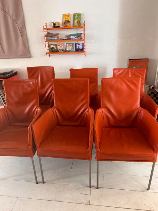 Orange Dining chairs
