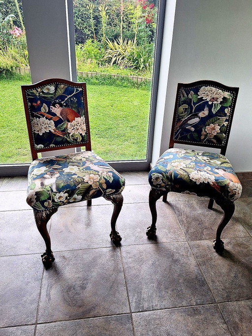 Fauteuils à griffes vintage - Tissu en velours exotique – stoelen fauteuils, Velvet, Wood