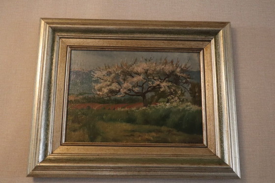 Dipinto di A. Cresti, Paesaggio con albero in fiore, Dipinti e disegni, Legno, Tela, Verde (foto 8 di 12)