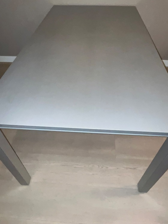 Tavolo da pranzo Leolux Izaki, Leolux tafel Izaki, Tavoli da pranzo, Legno, Metallo, Grigio, Modern (foto 2 di 10)