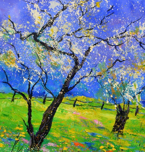 Image 1 of Blooming apple trees in spring