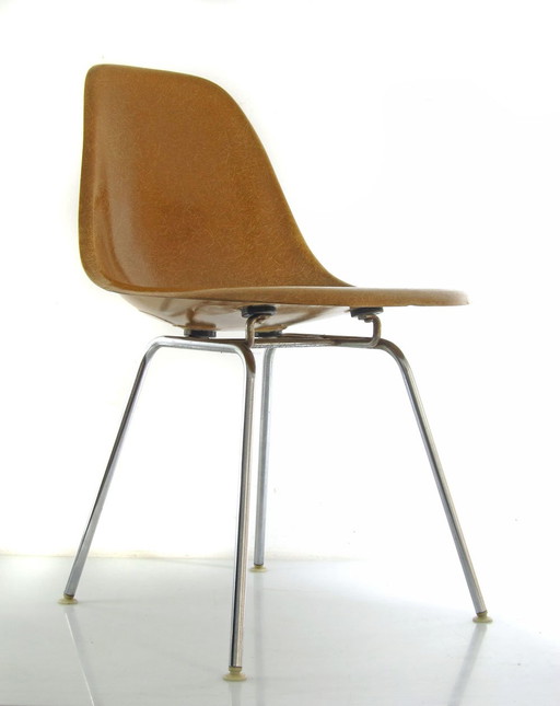 Charles & Ray Eames DSX Herman Miller - Fehlbaum Productie ’70 glasvezel stoel