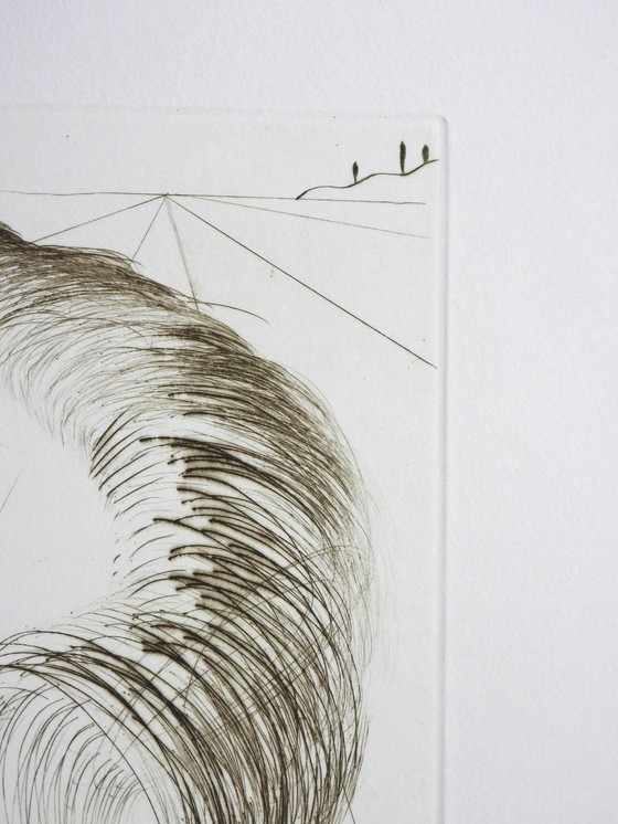 Image 1 of Salvador Dali (1904-1989) - Timon Of Athens