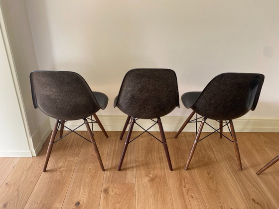 Image 1 of 6x Charles Eames and Herman Miller dining chairs in black fiberglass