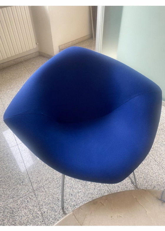 Image 1 of Harry Bertoia 5 Chaises Diamant Bleu