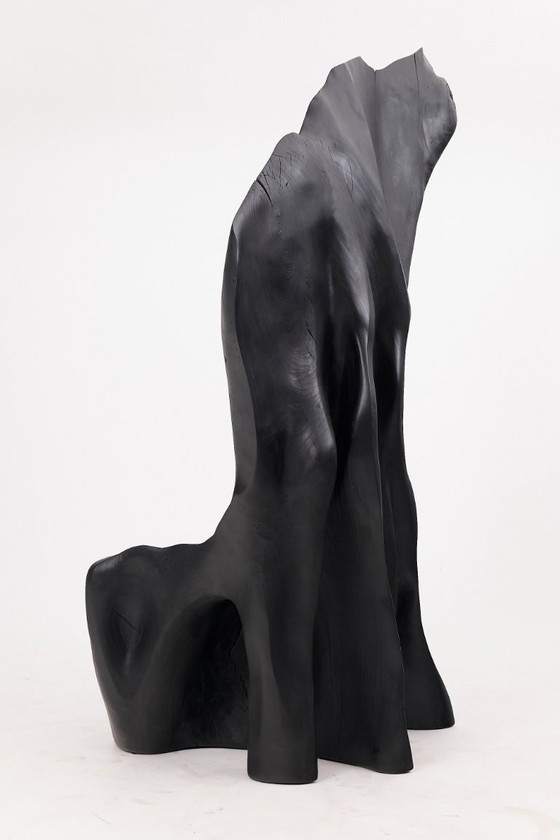 Image 1 of Fauteuil trône en bois noir carbonisé aux formes organiques par Logniture
