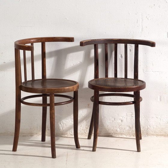 Antike Sessel im Thonet-Stil aus Bugholz – Mitteleuropa, circa 1930 - 2er-Set Stühle #3 (photo 4 of 40)