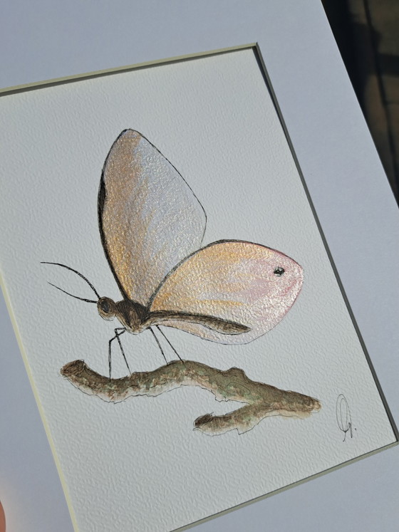 Image 1 of Original watercolor painting of a butterfly including frame