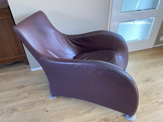 Image 1 of Vintage Montis Loge armchair Aubergine leather