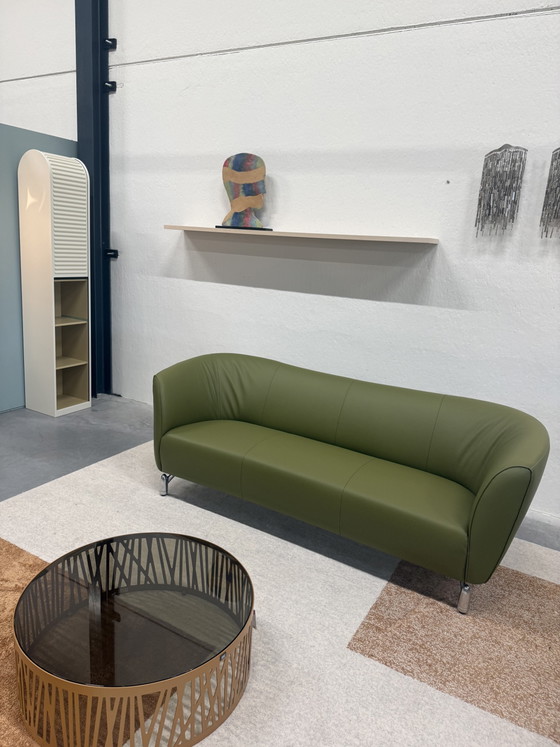 Leolux Pupilla 2 Seater Sofa Senso Green – Leather (photo 3 of 9)