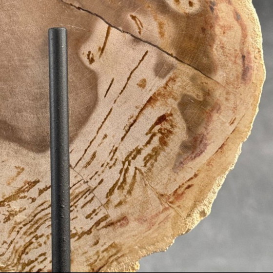 Image 1 of Madera fosilizada de Sooka, soporte hecho a medida (nuevo)