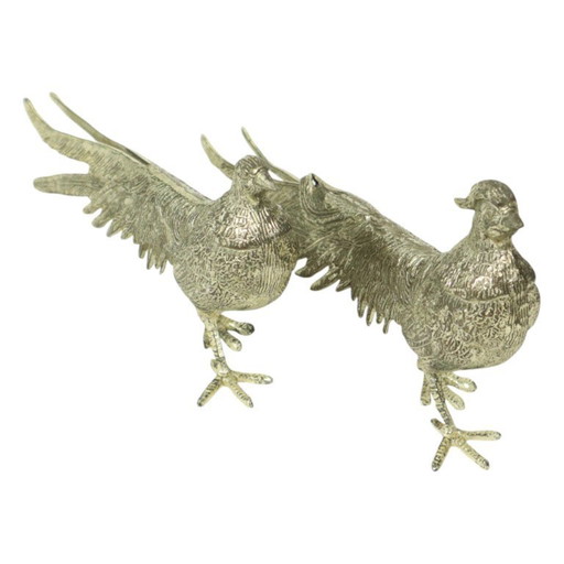 Images de faisans France