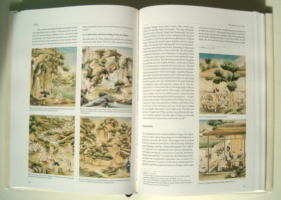 Image 1 of Griffin. Auf den Spuren eines Indianers. Franck Goddio