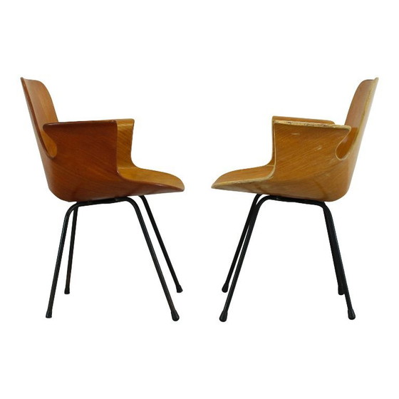 Image 1 of sedia con braccioli in legno curvato di faggio "medea" di vittorio nobili per fratelli tagliabue, italia, 1956