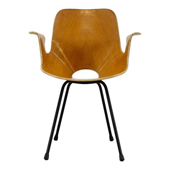 Image 1 of sedia con braccioli in legno curvato di faggio "medea" di vittorio nobili per fratelli tagliabue, italia, 1956