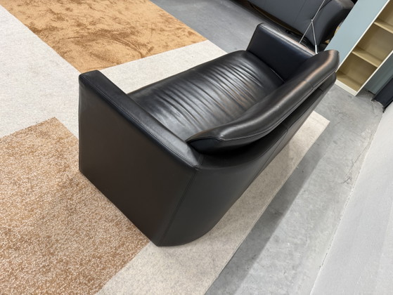 Divano Leolux Fiabo 2,5 posti in pelle nera – Divani 2 posti, Leather (photo 7 of 8)