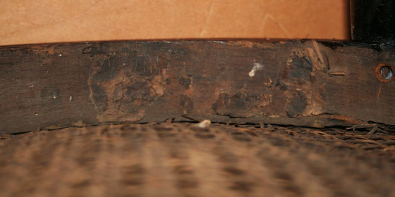 Image 1 of 2 seggioloni/sedute per allattamento in stile Thonet