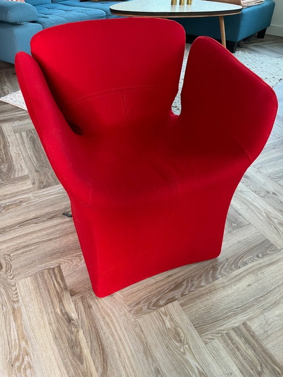 Image 1 of 4x Moroso Bloomy