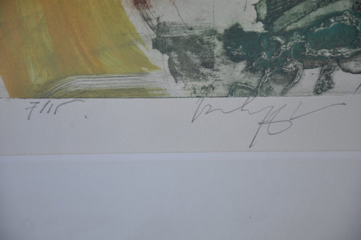 "Concerto in E minor de J. Sebastian Bach" Litho