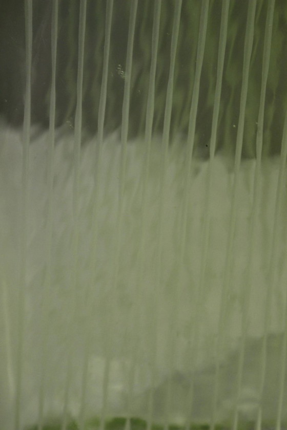 Image 1 of Glass vase with engraved decoration, Orrefors Ingeborg Lundin, Sweden, 20th century