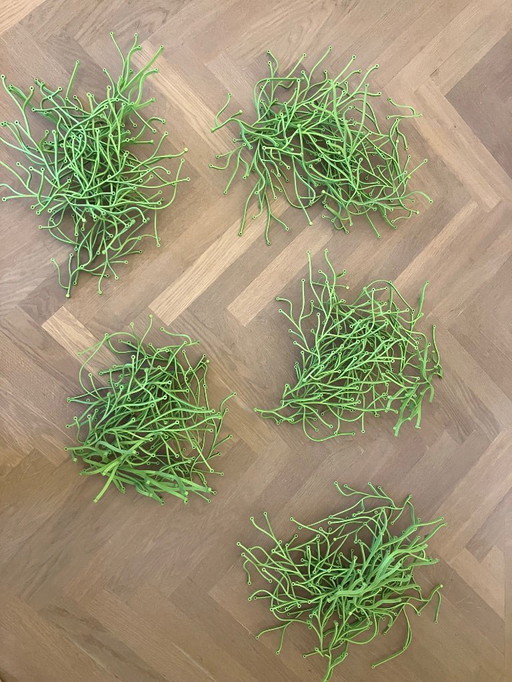 Vitra Algues Wanddecoratie 50x Groen