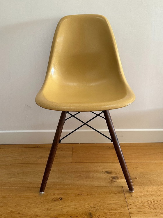 Set di 6 sedie Eames DSW — Herman Miller, scocche originali 1956–1959 – Sedie da pranzo (photo 3 of 10)