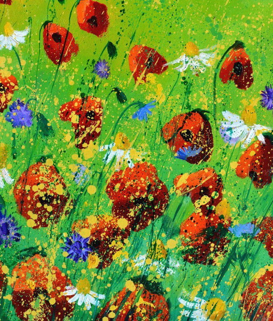 Image 1 of Red Poppies 67