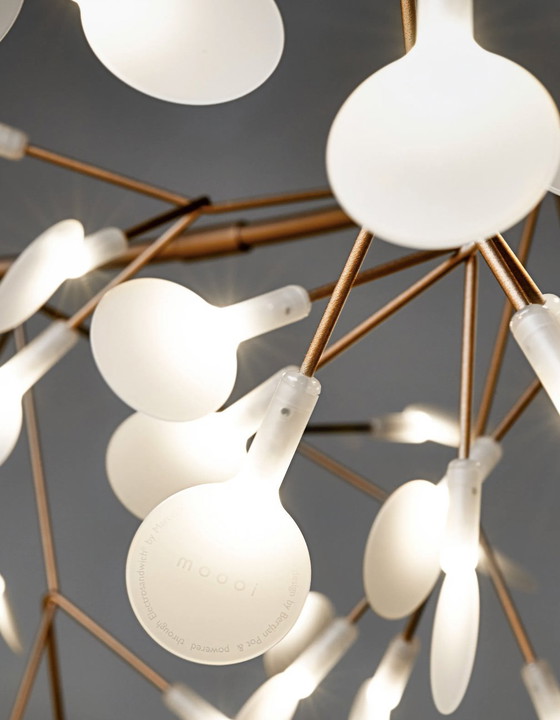 Image 1 of NUOVA lampada lineare Heracleum III di MOOOI