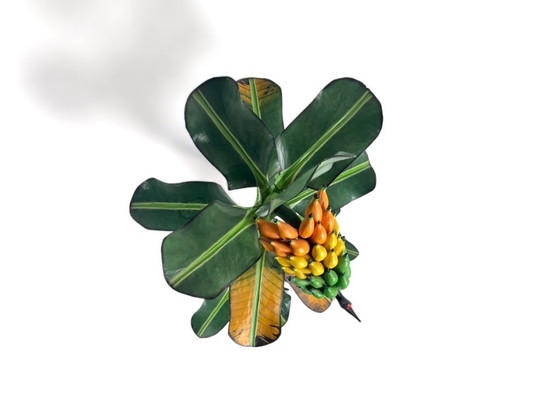 Image 1 of Pianta di banane in legno botanico vintage