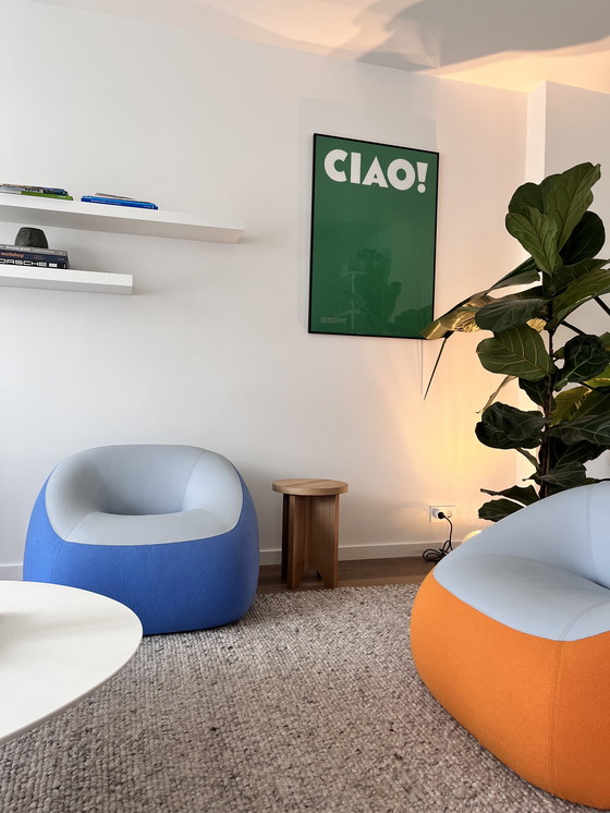 Image 1 of Ensemble de chaises longues Artifort Swamp