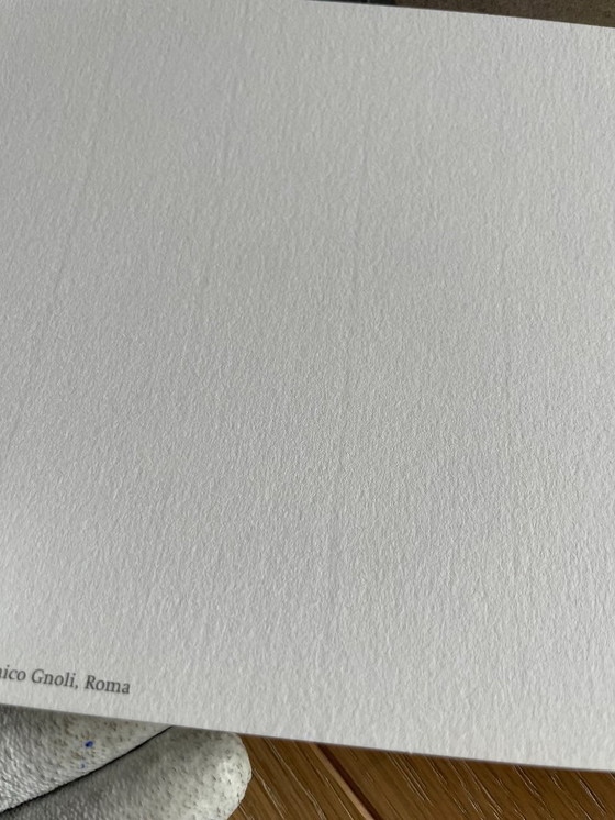 Image 1 of Domenico Gnoli (1933-1970), Bagnarola, 1966, copyright Marzia Gnoli, 1994, Printed in the Netherlands